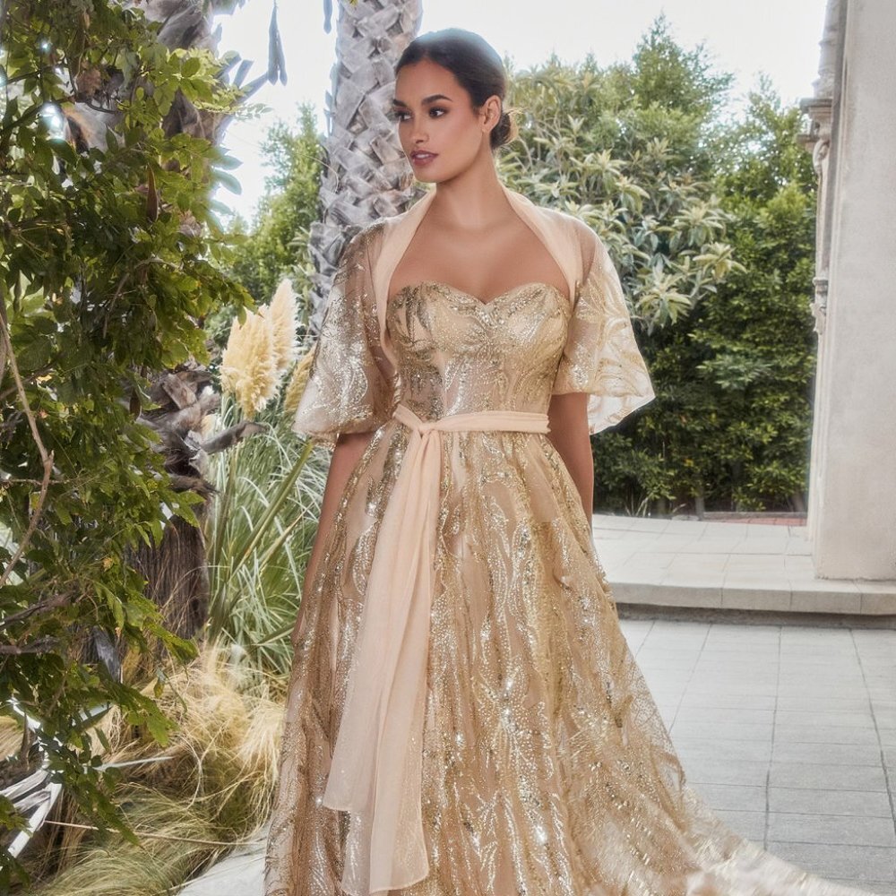 New Long Off The Shoulder Sleeveless Dress With Removable Cape & Zip Al A1174